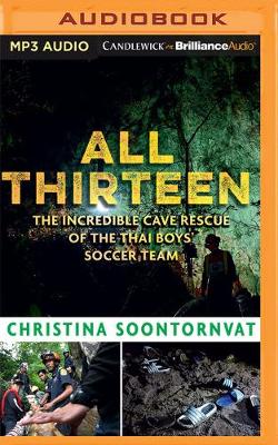 Book cover for All Thirteen