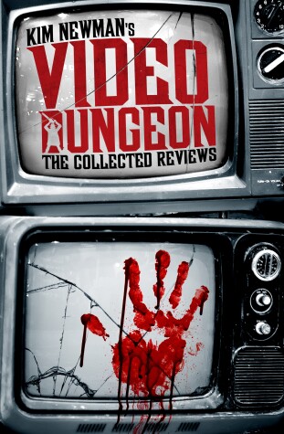 Book cover for Video Dungeon