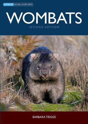 Book cover for Wombats