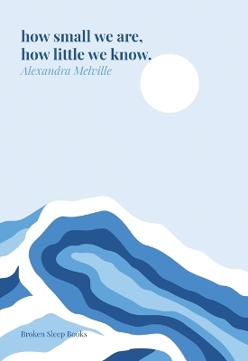 Book cover for how small we are, how little we know.