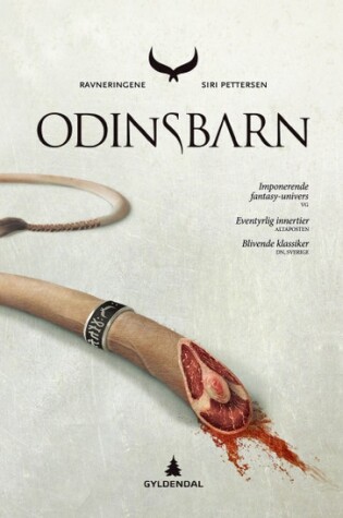 Cover of Odinsbarn