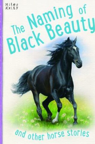 Cover of Naming of Black Beauty