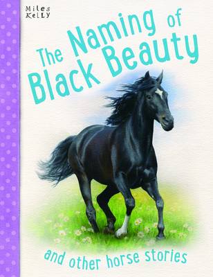 Book cover for Naming of Black Beauty