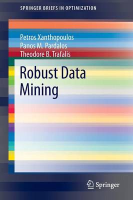 Cover of Robust Data Mining