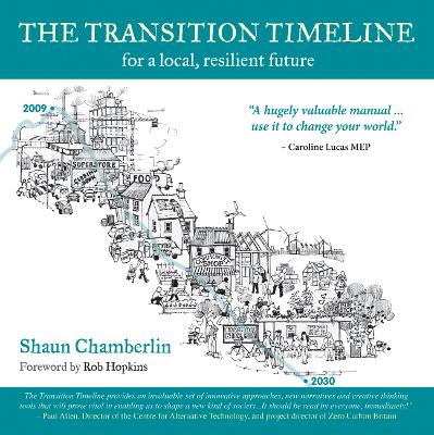 Book cover for The Transition Timeline