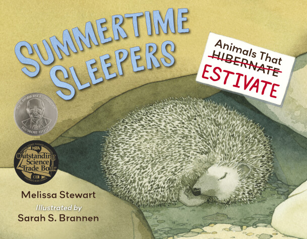 Book cover for Summertime Sleepers