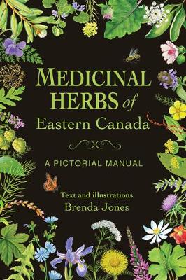 Book cover for Medicinal Herbs of Eastern Canada