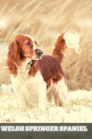 Cover of Welsh Springer Spaniel