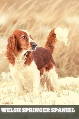 Book cover for Welsh Springer Spaniel