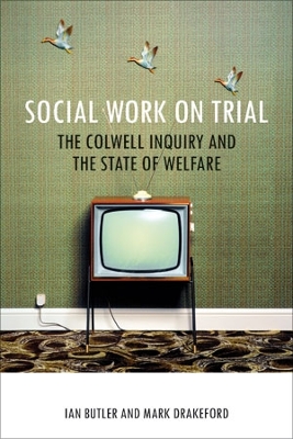 Cover of Social Work on Trial