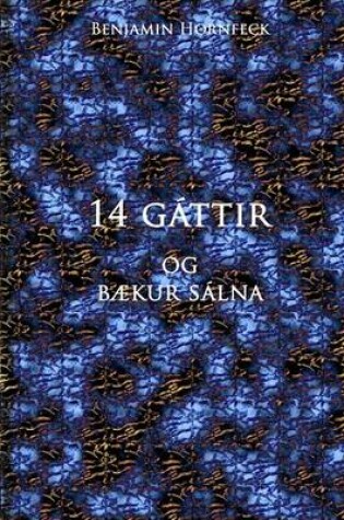 Cover of 14 Gattir Og Baekur Salna