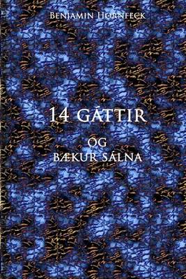 Book cover for 14 Gattir Og Baekur Salna