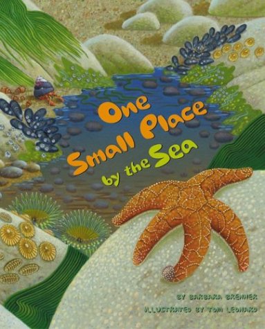 Book cover for One Small Place by the Sea