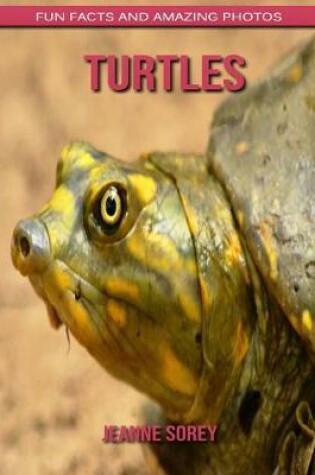 Cover of Turtles