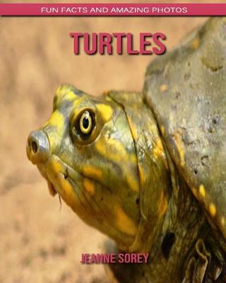 Book cover for Turtles