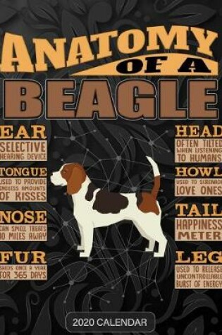 Cover of Anatomy Of A Beagle