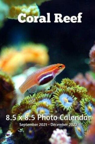 Cover of Coral Reef 8.5 X 8.5 Calendar September 2021 -December 2022