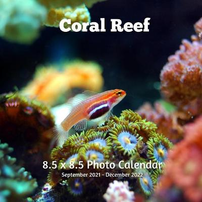 Book cover for Coral Reef 8.5 X 8.5 Calendar September 2021 -December 2022