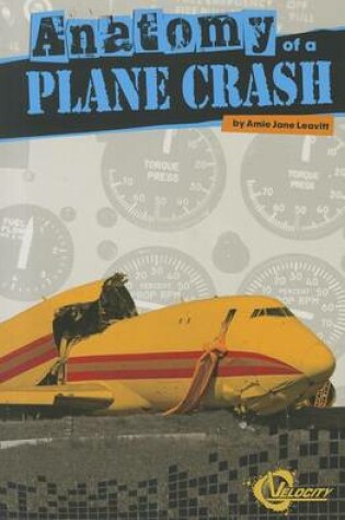 Cover of Anatomy of a Plane Crash