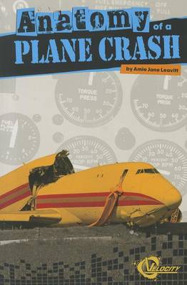 Book cover for Anatomy of a Plane Crash