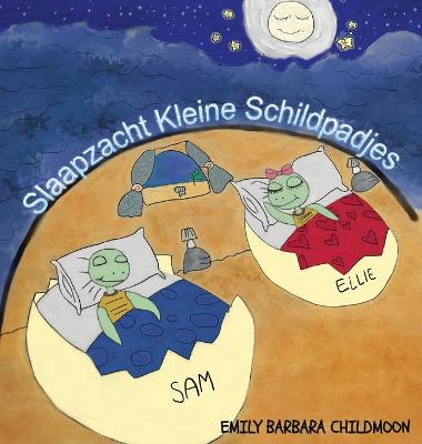 Book cover for Slaapzacht Kleine Schildpadjes