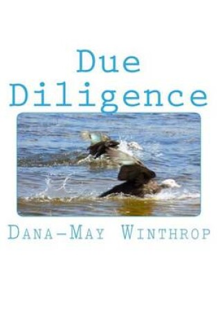 Cover of Due Diligence