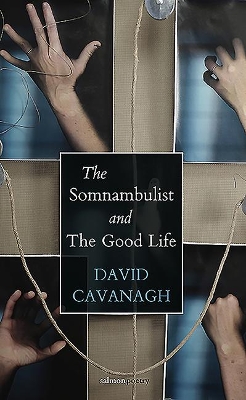 Book cover for The Somnambulist and the Good Life