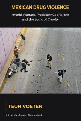 Book cover for Mexican Drug Violence