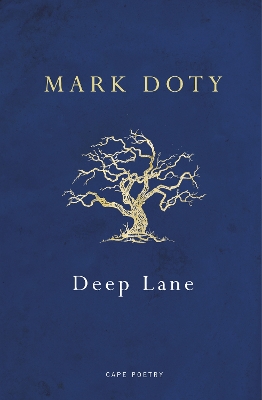 Book cover for Deep Lane