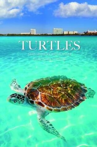 Cover of Turtles Note Monthly 2020 Planner 12 Month Calendar