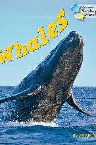 Cover of Whales 6-Pack