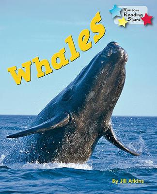 Cover of Whales 6-Pack