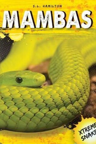 Cover of Mambas