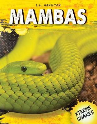Cover of Mambas