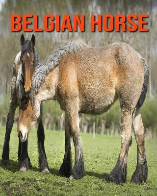 Book cover for Belgian Horse