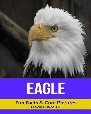 Book cover for Eagle