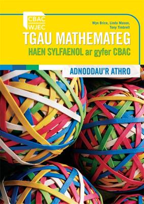 Book cover for WJEC Foundation Mathematics Teacher's Guide (Welsh Language)