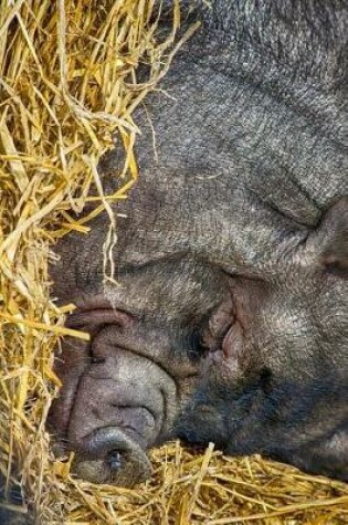 Cover of A Cute Napping Pot bellied Pig Journal