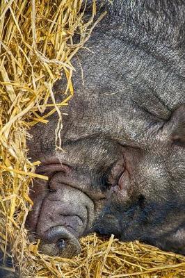 Book cover for A Cute Napping Pot bellied Pig Journal