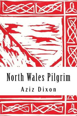 Book cover for North Wales Pilgrim