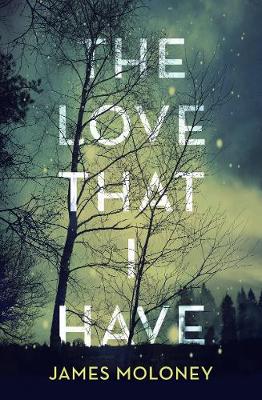 Book cover for The Love That I Have