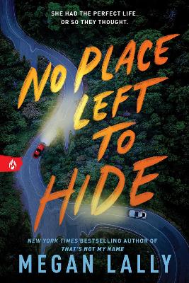 Cover of No Place Left to Hide