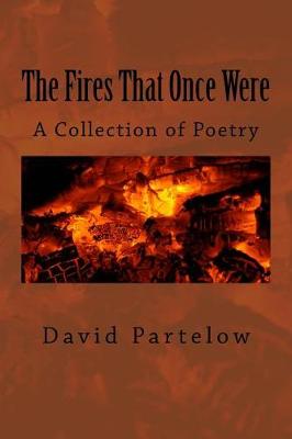 Book cover for The Fires That Once Were