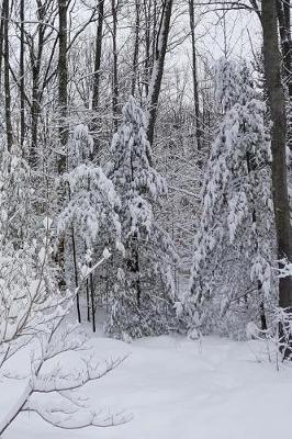 Cover of 2019 Daily Planner Winter Snowy Woods Photo 384 Pages