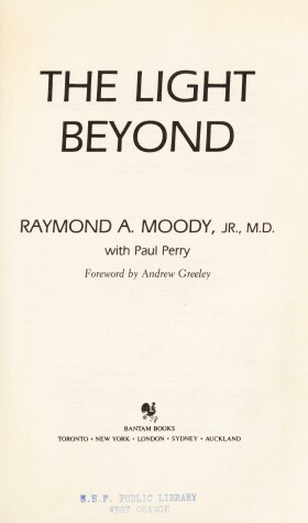 Cover of The Light Beyond