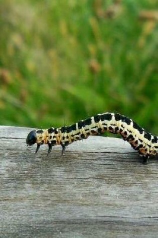 Cover of Creeping Caterpillar on a Log Notebook