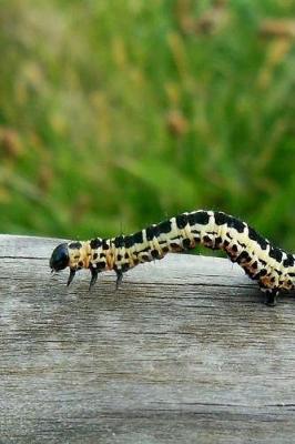 Book cover for Creeping Caterpillar on a Log Notebook