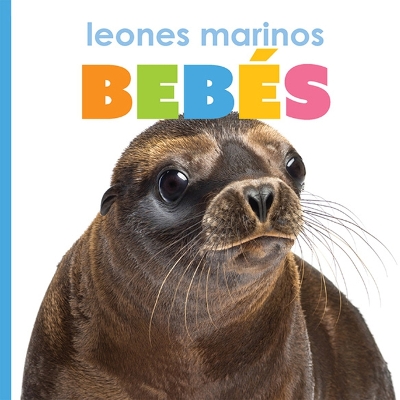 Book cover for Leones Marinos Beb�s