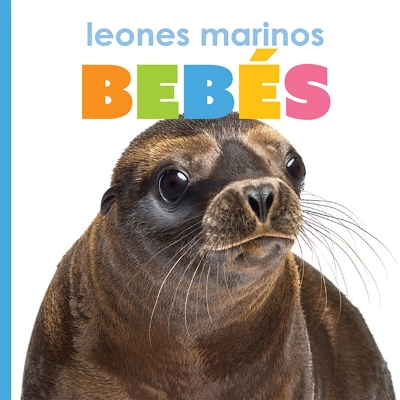 Book cover for Leones Marinos Bebés