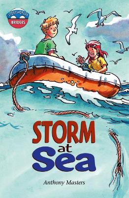 Book cover for Storyworlds Bridges Stage 11 Storm at Sea (single)